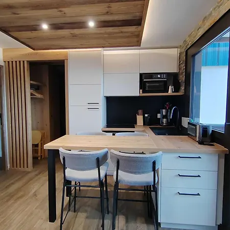 דירה Cosy 4 Pers Renove Au Coeur De Avec Acces Aux Pistes - Fr-1-545-49